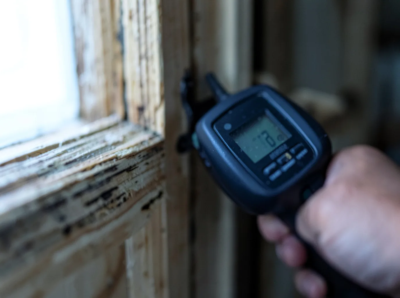 Moisture Inspection And Documentation in Lake Charles, LA